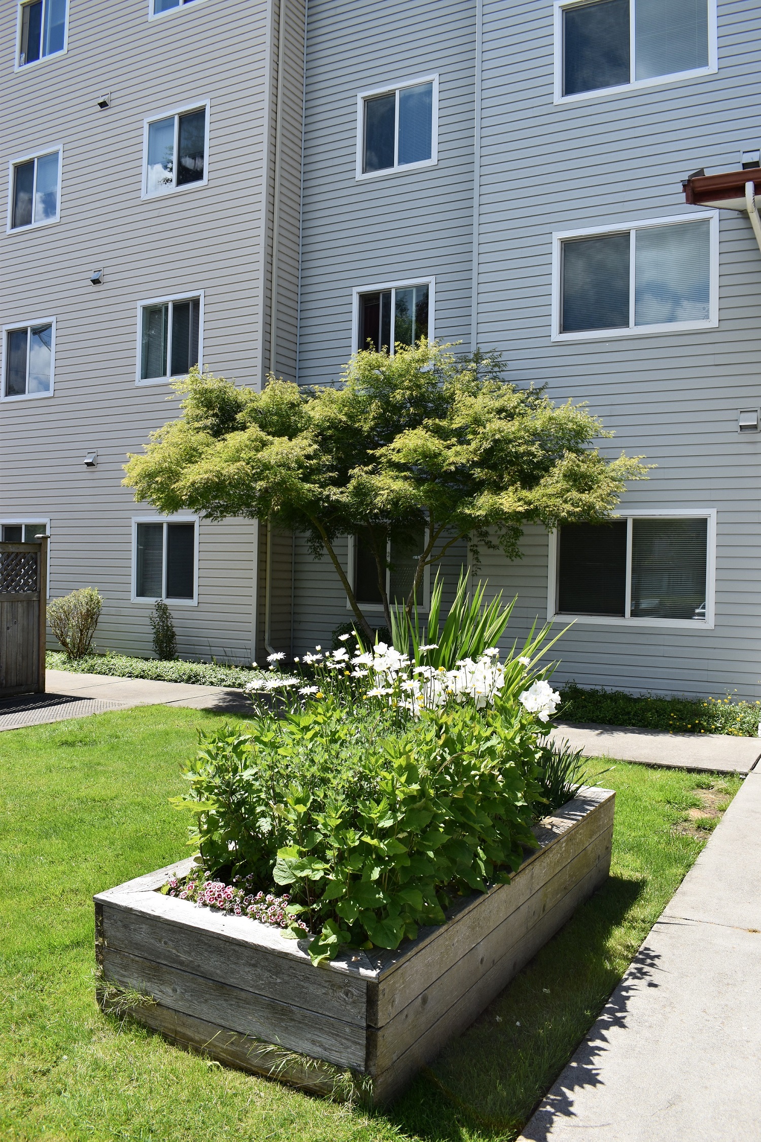 Pepperwood planter box with flowers